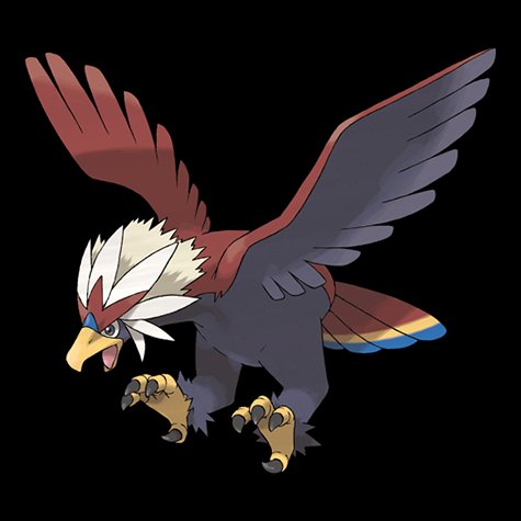 braviary
