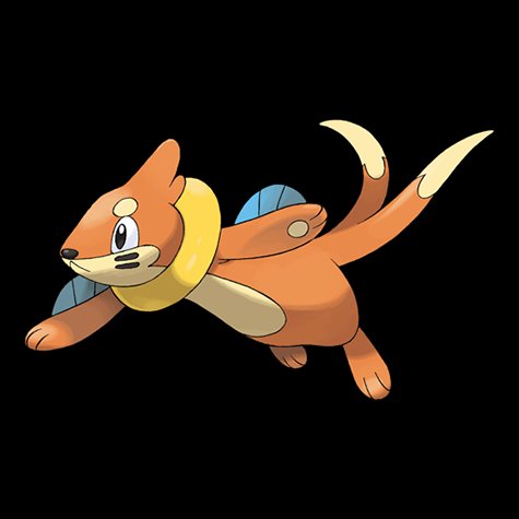 buizel