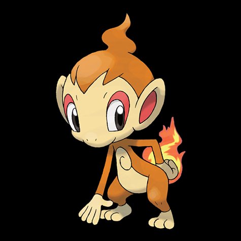 chimchar