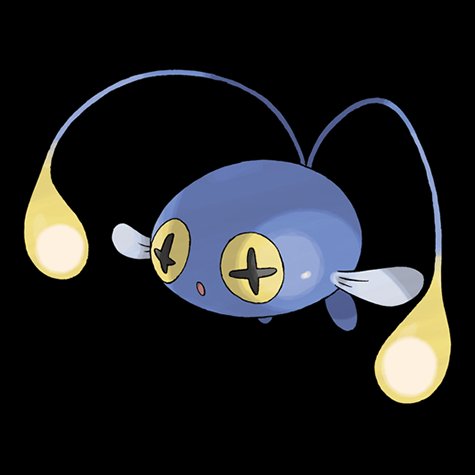 chinchou