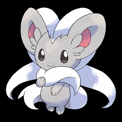 cinccino
