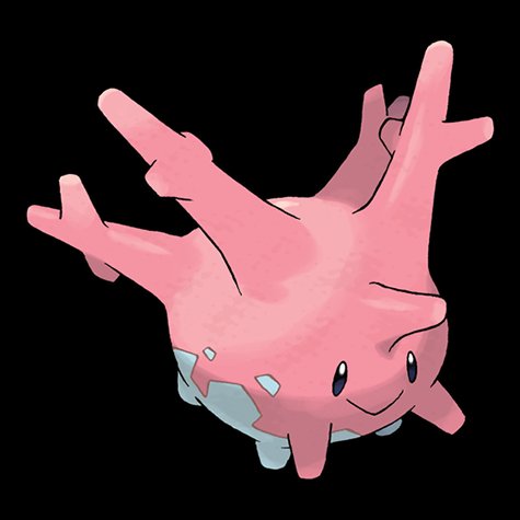 corsola