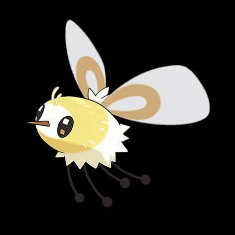 cutiefly