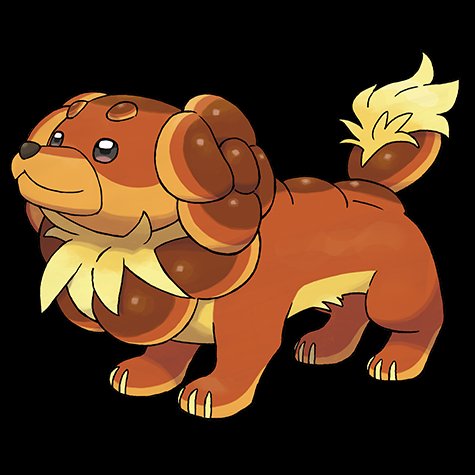 dachsbun