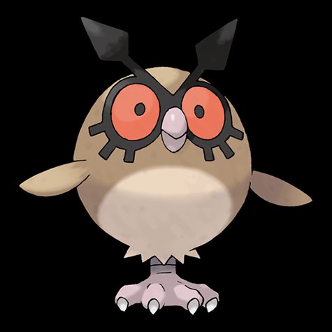 hoothoot