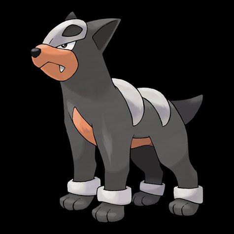 houndour