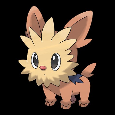 lillipup
