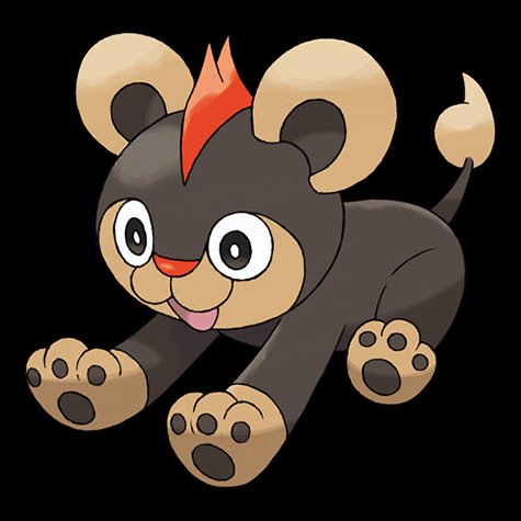 litleo
