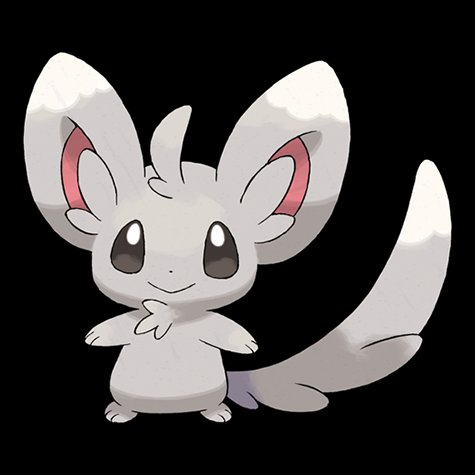 minccino