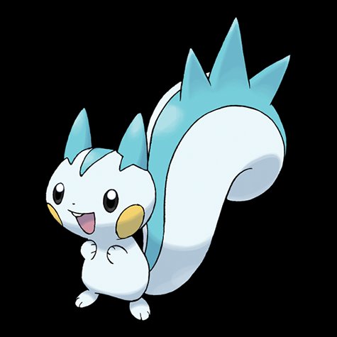 pachirisu
