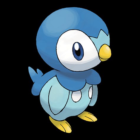 piplup