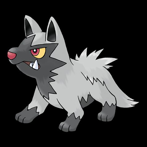 poochyena
