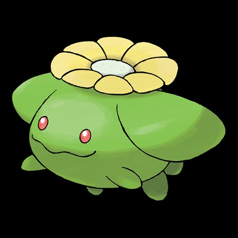 skiploom