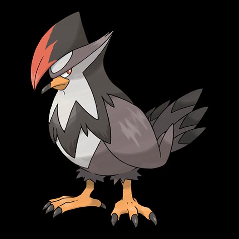 staraptor