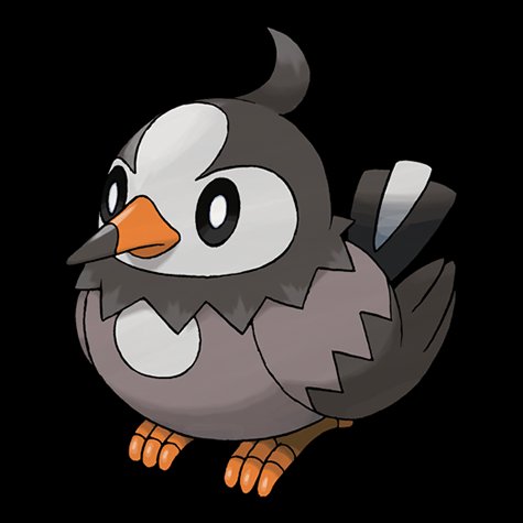 starly