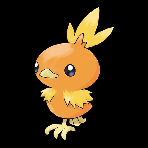 torchic