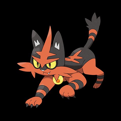 torracat