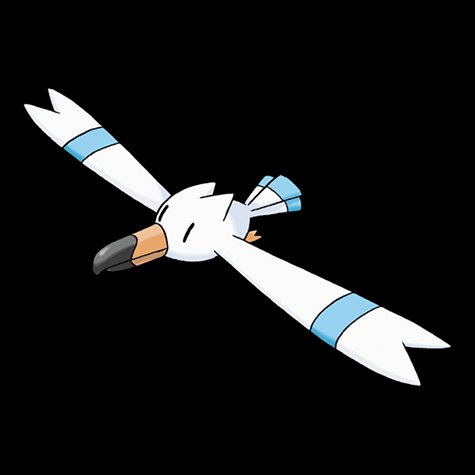 wingull