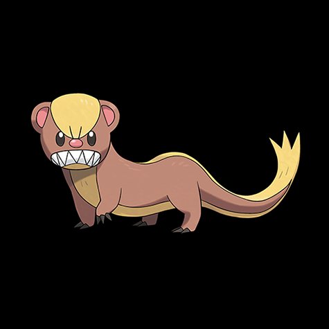 yungoos