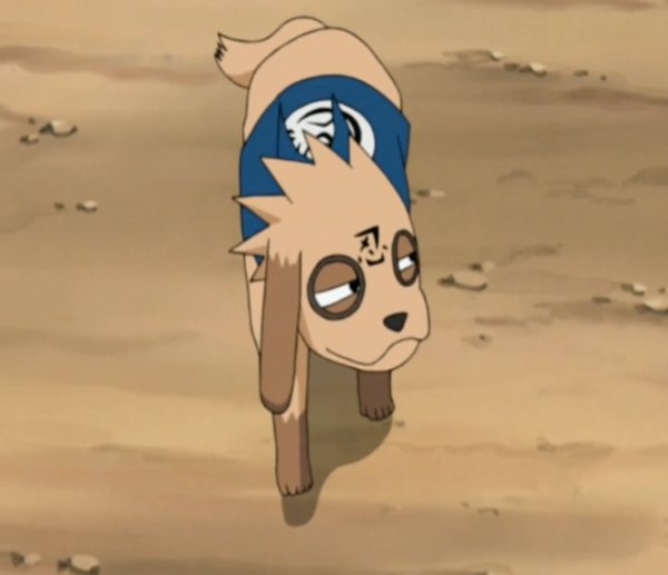 Bisuke
