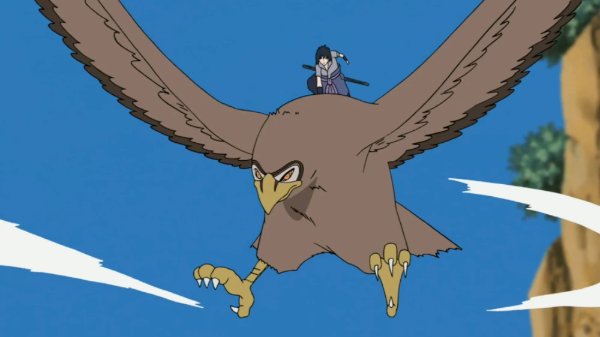 Garuda