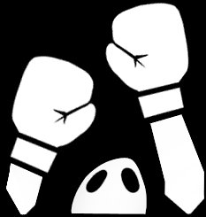 Boxer