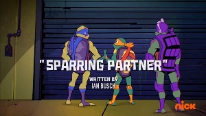 Sparring Partner