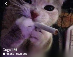Гоголь
