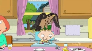 Xerxes