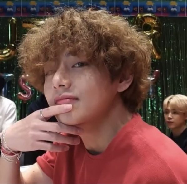 poodle