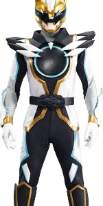 Gozyu polar