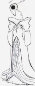 Phan
