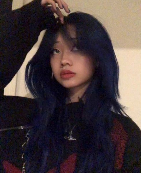 Meisa