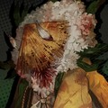 120px-Dongrang_Distorted_StoryLog