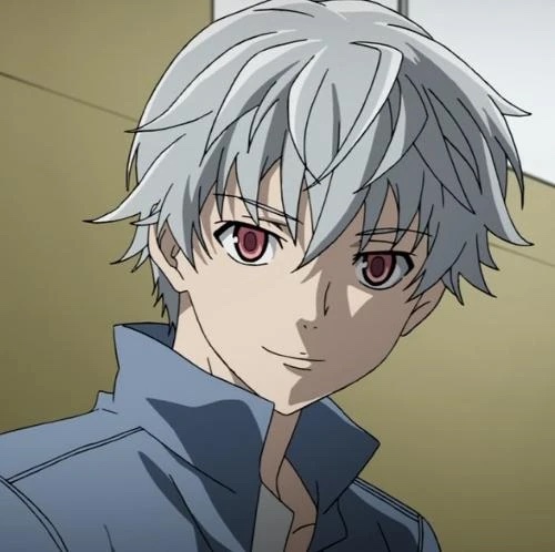Aru Akise (The Future Diary)