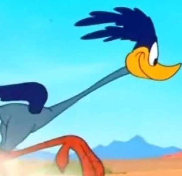 4437