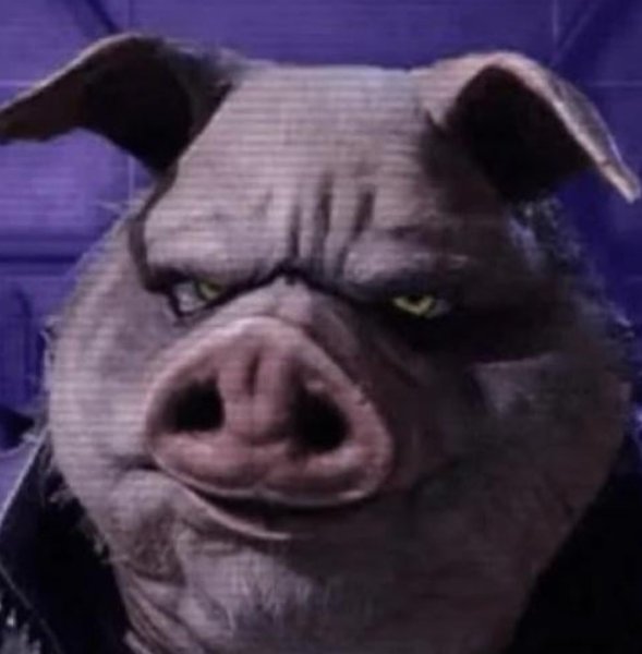 4555