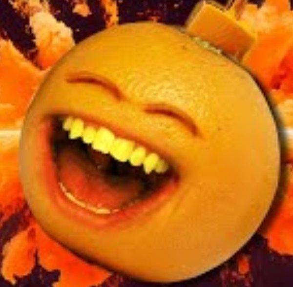 4658