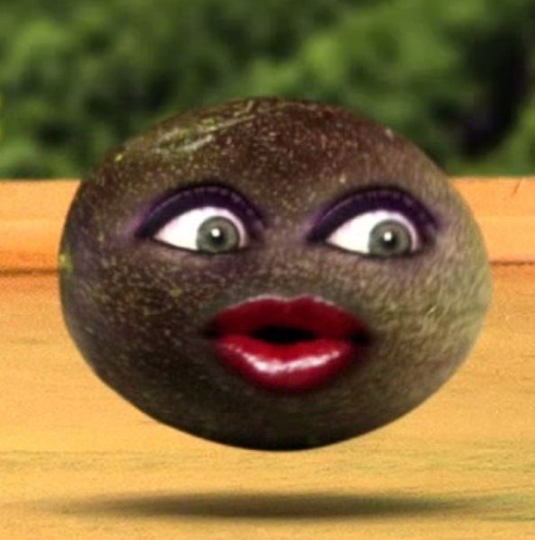 4663