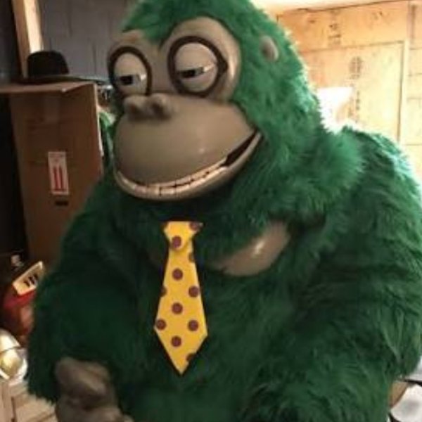5231