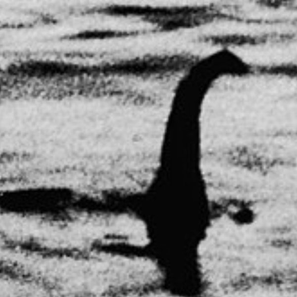 6258