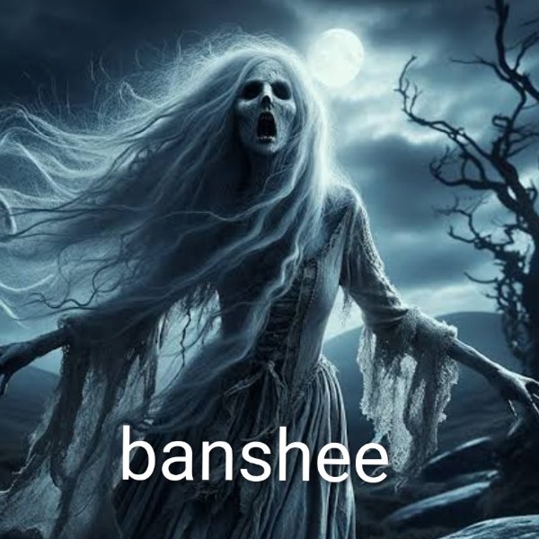 6264