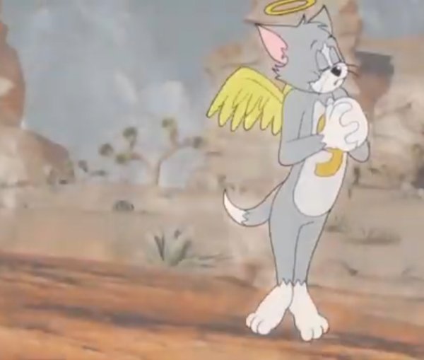 Tom's death