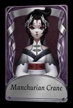 Manchurian Crane