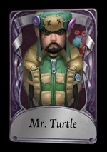 Mr. Turtle