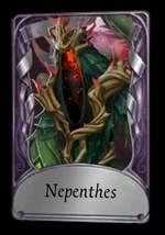 Nepenthes