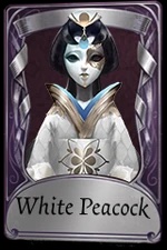White Peacock