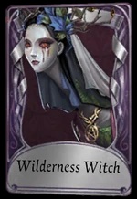 Wilderness Witch