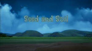 Seed & Soil