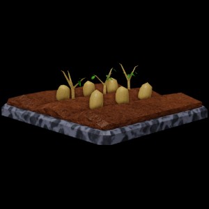 Farm